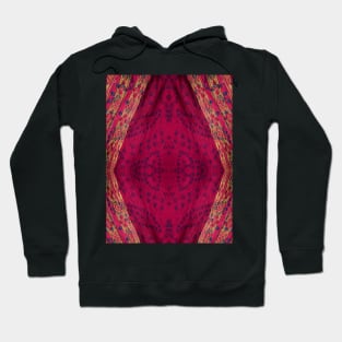 Colorful Sari Indian Hoodie